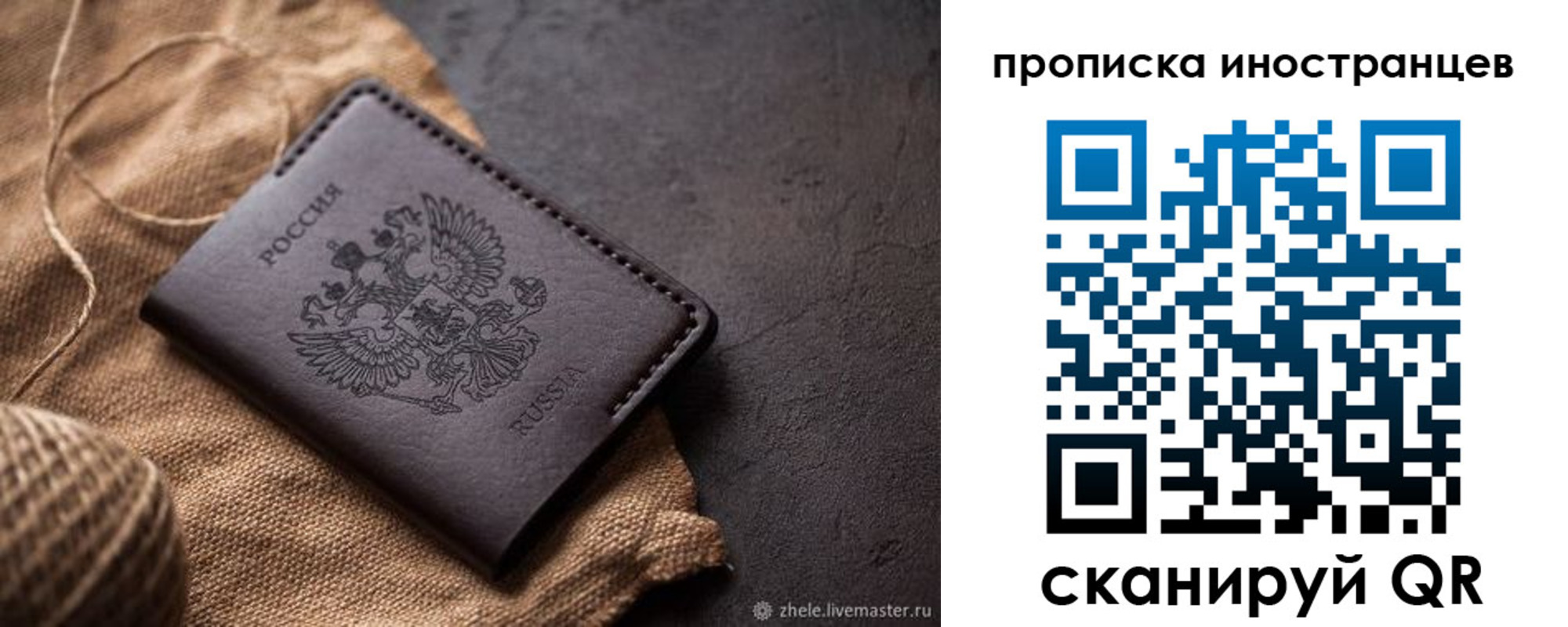 прописка поиск в Невеле